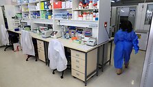 Pietų Afrikos Respublikoje / Esa Alexander / REUTERS