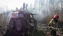 Mi&scaron;ko gaisras / WOJTEK RADWANSKI / AFP