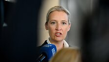 Alice Weidel / RALF HIRSCHBERGER / AFP