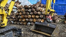 Nesprogusių kasetinių &scaron;audmenų rinkimas Vokietijoje. / Jens Kalaene / dpa/picture-alliance