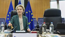 Ursula von der Leyen / Virginia Mayo / AP