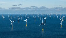 Sina Schuldt / dpa/picture-alliance