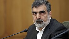Behrouzas Kamalvandi / Ebrahim Noroozi / AP