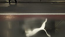 Yuki Iwamura / AP