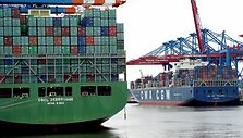 BNS nuotr.