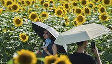 Andy Wong / AP