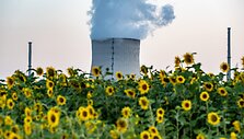 Armin Weigel / dpa/picture-alliance