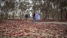 Ilia Yefimovich / dpa/picture-alliance