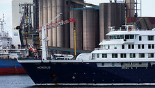 Hantavirusą ne&scaron;ęs laivas &bdquo;MV Hondius&ldquo; / Piroschka Van De Wouw / REUTERS