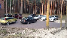 Automobiliai Palangos kopose: "Chateau Amber" vila , Naglio alėja