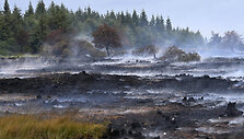 Belgija / IMAGO/Didier Lebrun / IMAGO/Photo News