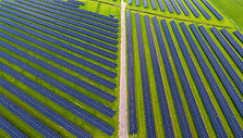 Sina Schuldt / dpa/picture-alliance