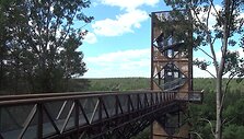medziu-laju-apzvalgos-takas-anyksciuose