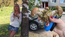 J.Janu&scaron;ienė jau džiaugiasi pirmųjų grybų radybomis