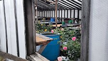 IMG_20240614_133745
