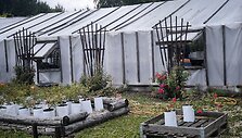 IMG_20240614_134702