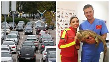 Automobilių stovėjimo aik&scaron;telė, Gerda Žemaitė, Paulius Morkūnas