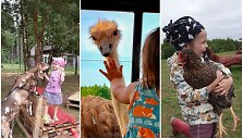 Vaikams labiausiai patinkantys gyvūnų ūkiai Lietuvoje