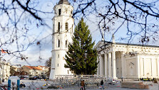 Vilniaus Kalėdų eglė jau Katedros aik&scaron;tėje