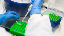 VU Gyvybės mokslų centro laboratorija