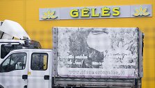 Žiežmarių gėlės