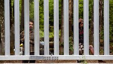 I&scaron;skirtinė zona Lenkijos-Baltarusijos sienoje / Attila Husejnow / ZUMAPRESS.com