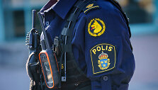 &Scaron;vedijos policija