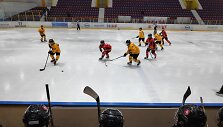 Lietuvos moterų ledo ritulio rinktinė