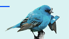 &bdquo;Twitter&ldquo;