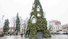 Kalėdų eglė Vilniaus Katedros aik&scaron;tėje