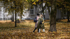 Sapiegų rūmų parkas 