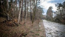 Stipraus vėjo padariniai Vilniaus mieste ir apylinkėse