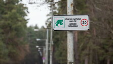 Kelio ženklas &ndash; &bdquo;Dėmesio, gatvėje varlės!&ldquo;