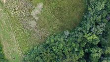 Medžių kirtimas Amazonės mi&scaron;kuose