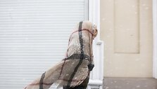 Į Vilnių sugrįžo balta žiema
