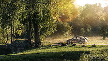 Ričardas ir jo &bdquo;Volkswagen Beetle&ldquo;