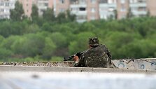 Prorusi&scaron;kas teroristas ant daugiaubučio stogo Luhanske