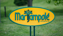 Marijampolė 
