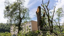Paneriai &scaron;alia Vievio bando atsigauti po dar nematytos audros