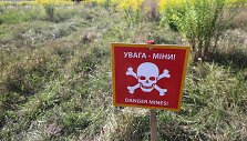 Minų laukas
