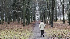 Sapiegų rūmų parkas