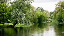 Marijampolė 