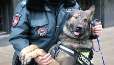 Kauno pareigūnų &scaron;uo &bdquo;Barbar z  Danaru&ldquo;, dažnai vadinamas tiesiog &bdquo;Kodu&ldquo;