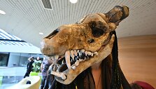 35-asis fantastinių idėjų ir kūrybos festivalis &bdquo;Lituanicon&ldquo;