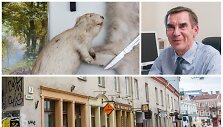 Kol Vladislovo Molio vadovaujama įmonė kaupė i&scaron;kam&scaron;as, jo &scaron;eima kaupė turtus