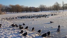 Specialistų teigimu, ledas dar nesaugus.