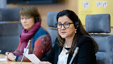 Ana Brian Nougr&egrave;res