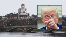 Harvardo universitetas ir Donaldas Trumpas