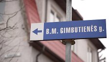 Universiteto dėstytojai M.Gimbutienės ir aplinkinėse gatvėse ėmė kurtis XX a. de&scaron;imtajame de&scaron;imtmetyje
