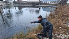 Į Kretingos tvenkinius paleista 500 lydekaičių.